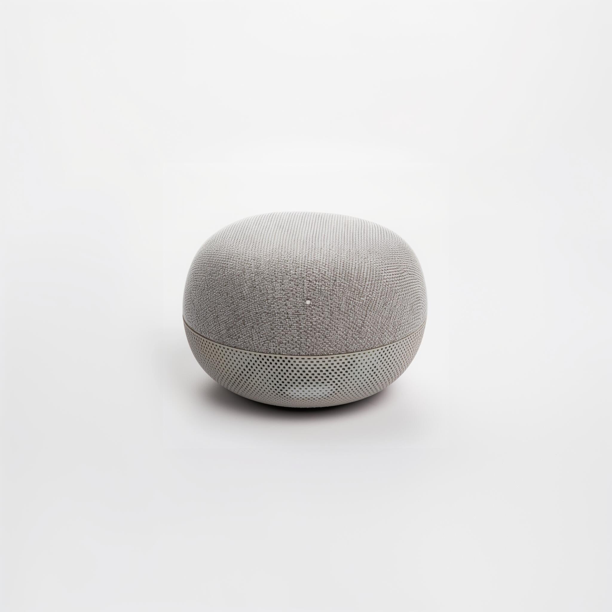 Smart Speaker with Voice Assistant